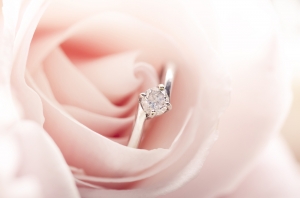 Popular Styles of Moissanite Engagement Rings Popular Styles of Moissanite Engagement Rings